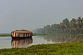 Kerala backwaters, morning mist on Vembanad Lake.  